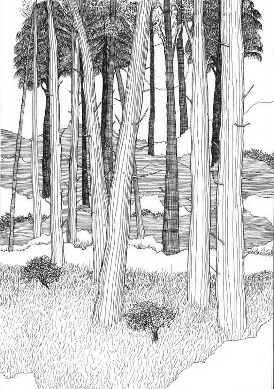 Árbores, tramas, tinta (0´4, 0´2..)