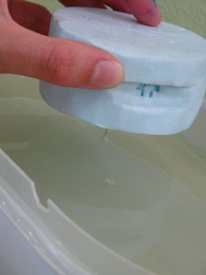 Reflexión total en el agua
Se puede ver la punta blanca del alfiler.
