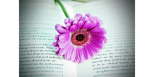 Imaxe Book de PCPics, Dominio Público