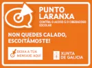 Punto Laranxa