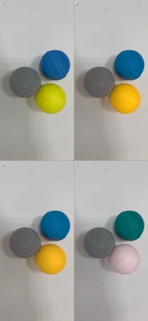 Simulación visual