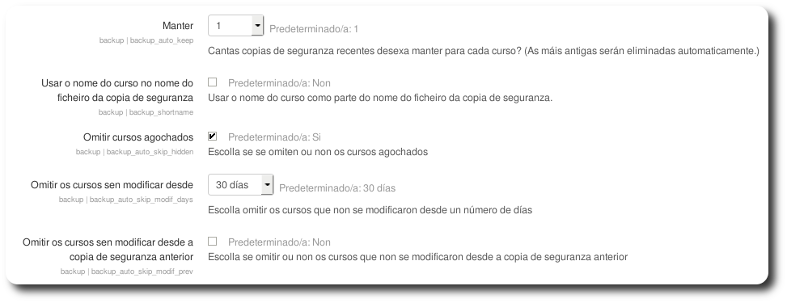 Configuración das copias automáticas (2)