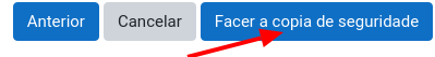 Botón Facer a copia de seguridade