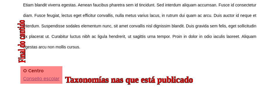 Contido tipo Páxina completo