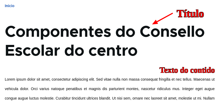 Contido tipo Páxina completo