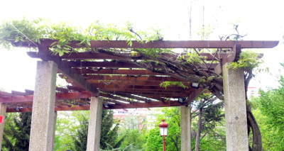 Vigas no Parque Miño Ourense