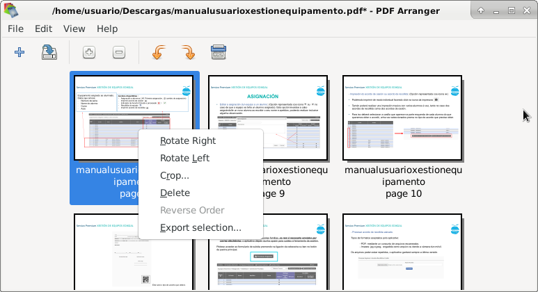 Menú contextual páxina seleccionada