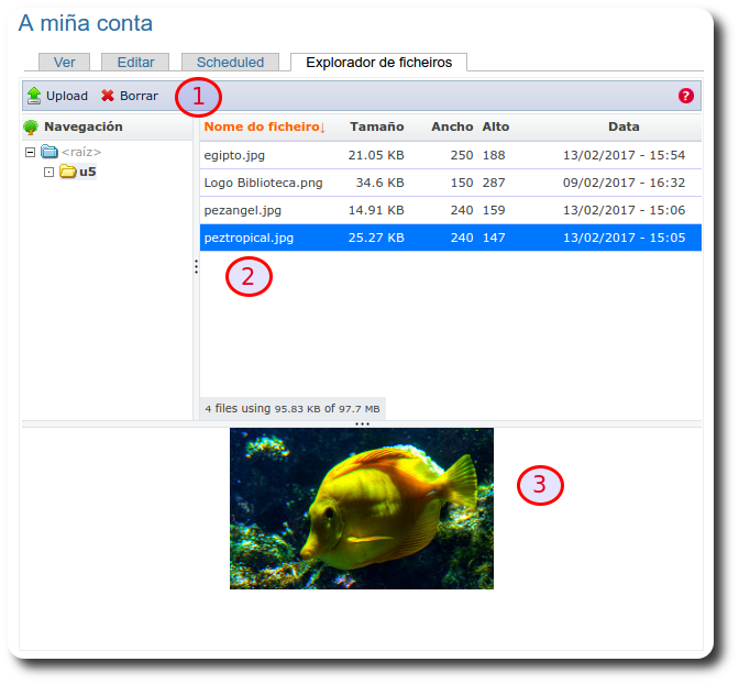 Zona da ferramenta de xestión de arquivos