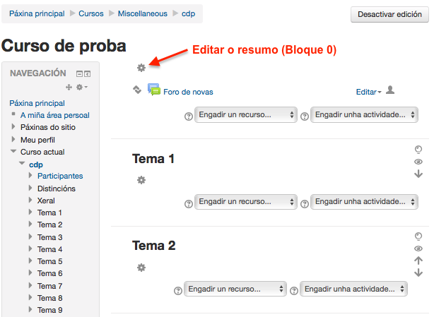 Editar o resumo (Bloque 0)