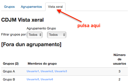 Vista xeral dos grupos